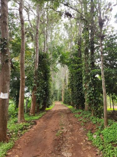 Breakfast ride by Mysore Sub Chapter on 19th May to Kabini (1)