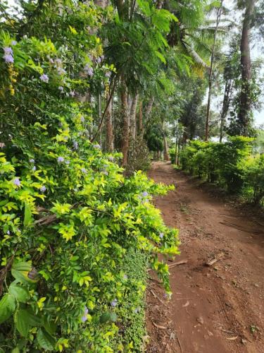 Breakfast ride by Mysore Sub Chapter on 19th May to Kabini (2)