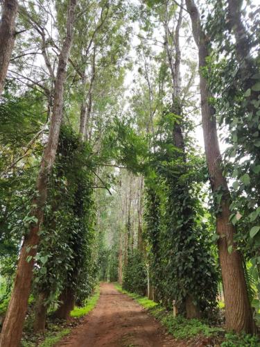 Breakfast ride by Mysore Sub Chapter on 19th May to Kabini (3)